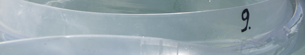 Page Icon